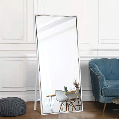 Vertical Full Length Mirror for Standing or Wall Mounting, 65x23.6 Frame