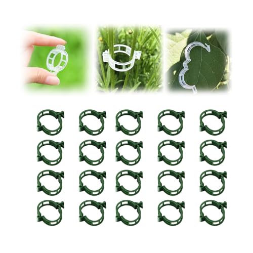 Gentle & Secure 2025 Reusable Plastic Plant Clips for Climbing Plants - Indoor/Outdoor (100, Green)