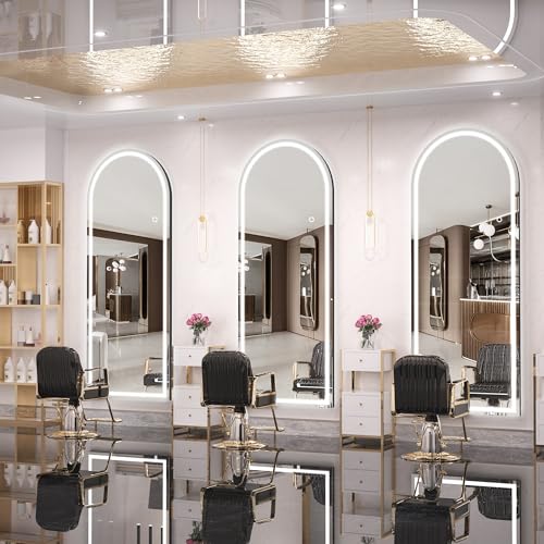 Hasipu 79 X 36 Arch LED Mirror for Bedroom, Cloakroom and Living Room