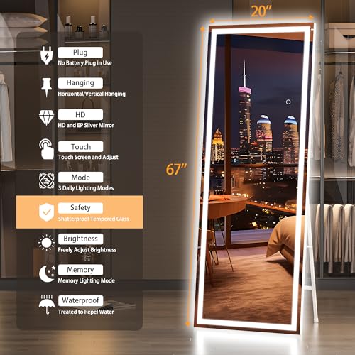 Hasipu LED Lighted Full-Length Floor Mirror, 67 x 20