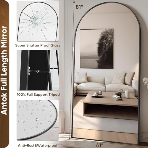 Antok Full Length Arch Mirror, 81"x41", Black Stand Floor Mirror