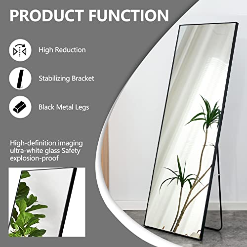 Durable Full Body Mirror for Bedroom, Bathroom & Living Room(Black)